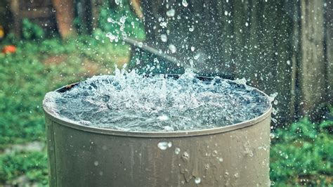 Is it legal to collect rainwater in your state?